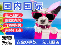 信阳明港航空物流国际宠物托运 【国
